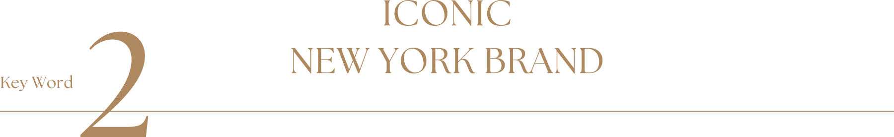Key Word2 ICONIC NEW YORK BRAND
